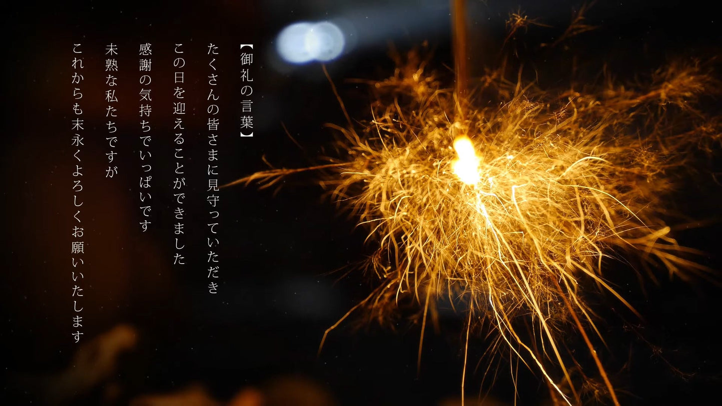 プロフィールムービー【STAY】【結婚式 ムービー プロフィール】