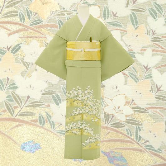 色留袖D-25-c 【結婚式 訪問着 色留袖 レンタル】