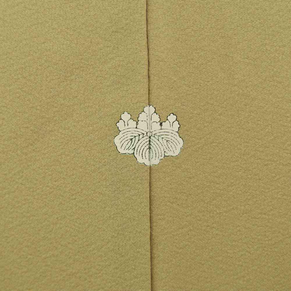 色留袖D-29-c 【結婚式 訪問着 色留袖 レンタル】