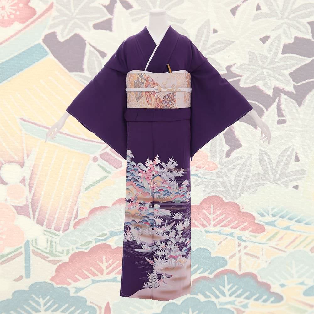 色留袖D-40-c 【結婚式 訪問着 色留袖 レンタル】