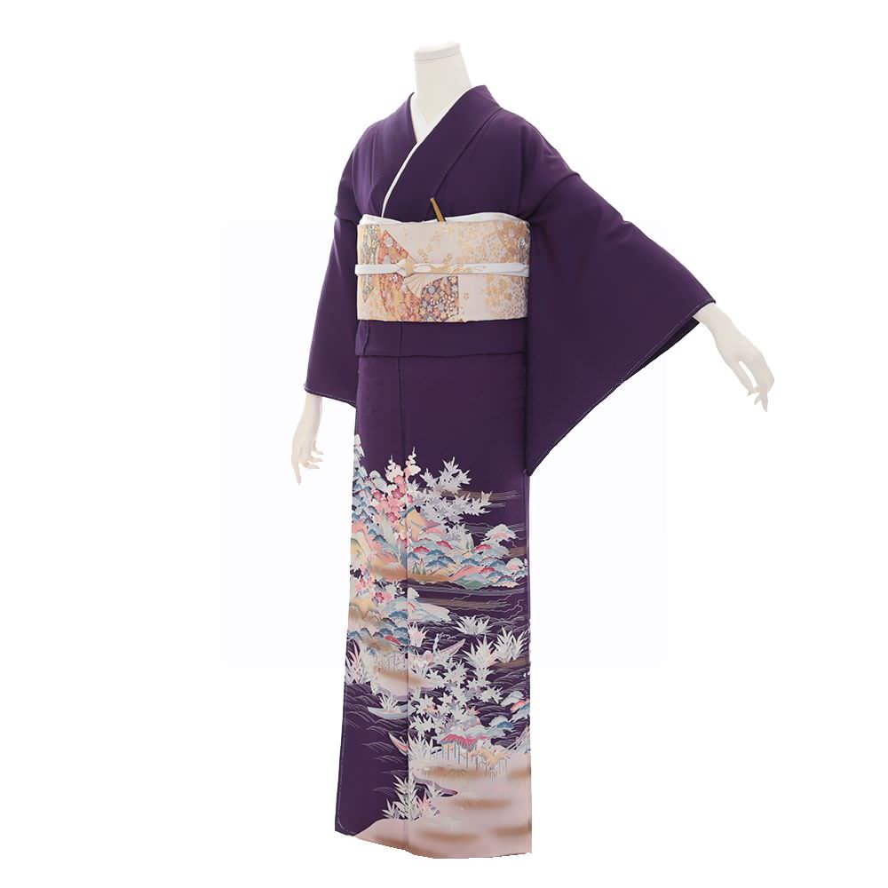 色留袖D-40-c 【結婚式 訪問着 色留袖 レンタル】