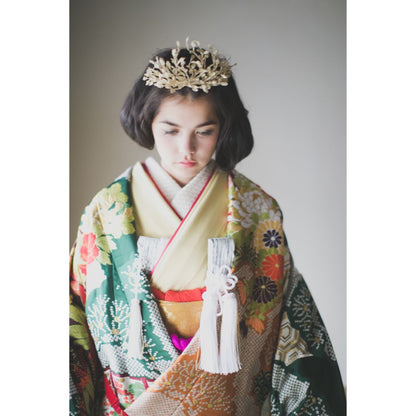 緞子織飛翔緑幔幕 【結婚式 和装 色打掛 レンタル】