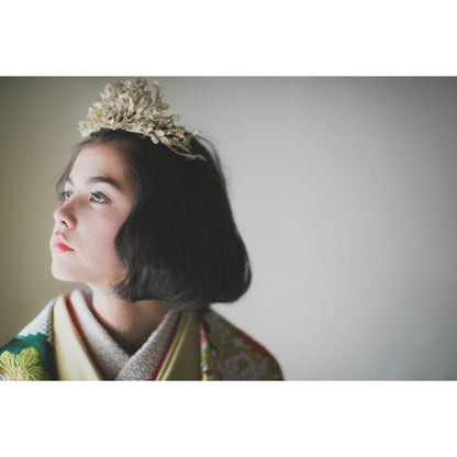 緞子織飛翔緑幔幕 【結婚式 和装 色打掛 レンタル】