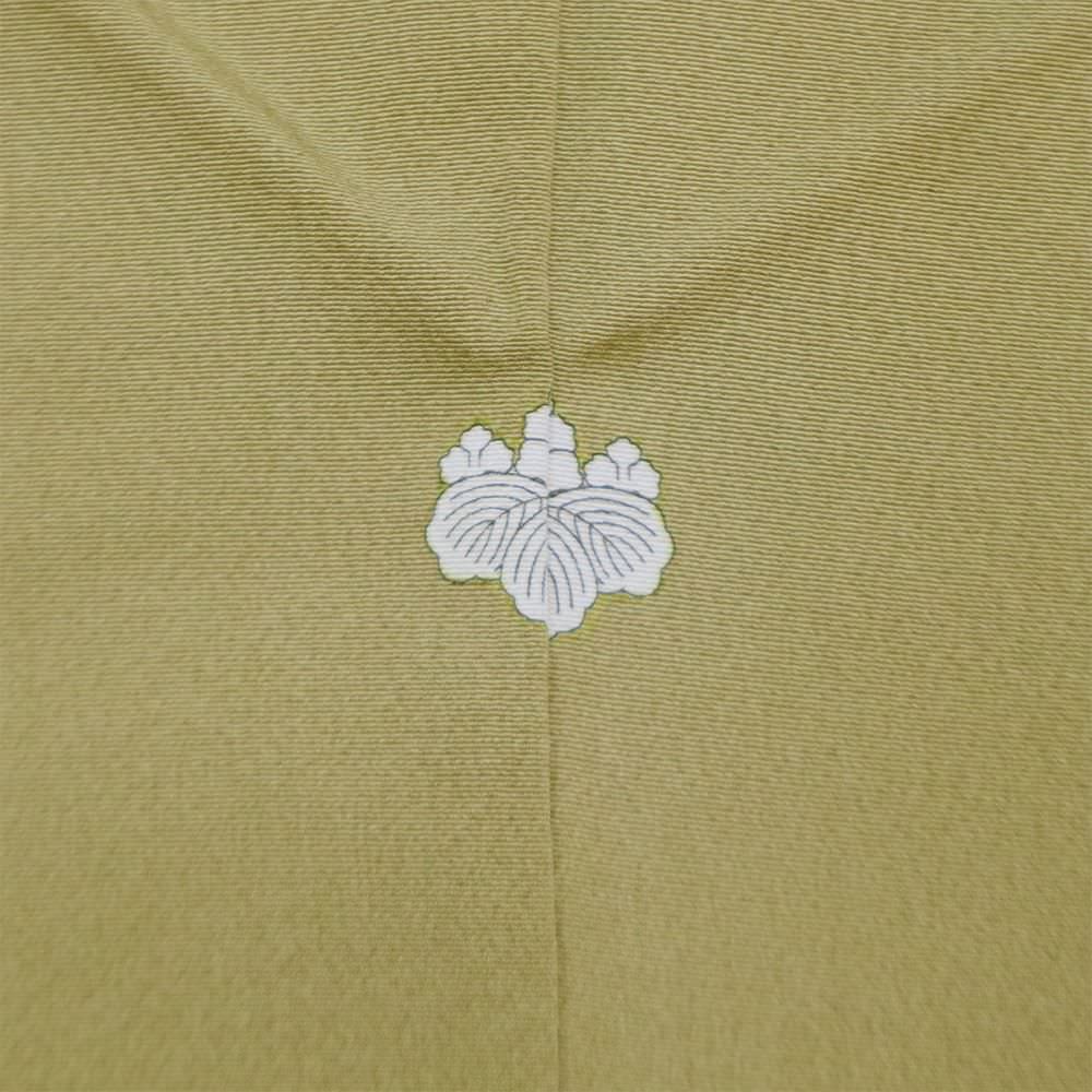 色留袖F-03-c 【結婚式 訪問着 色留袖 レンタル】