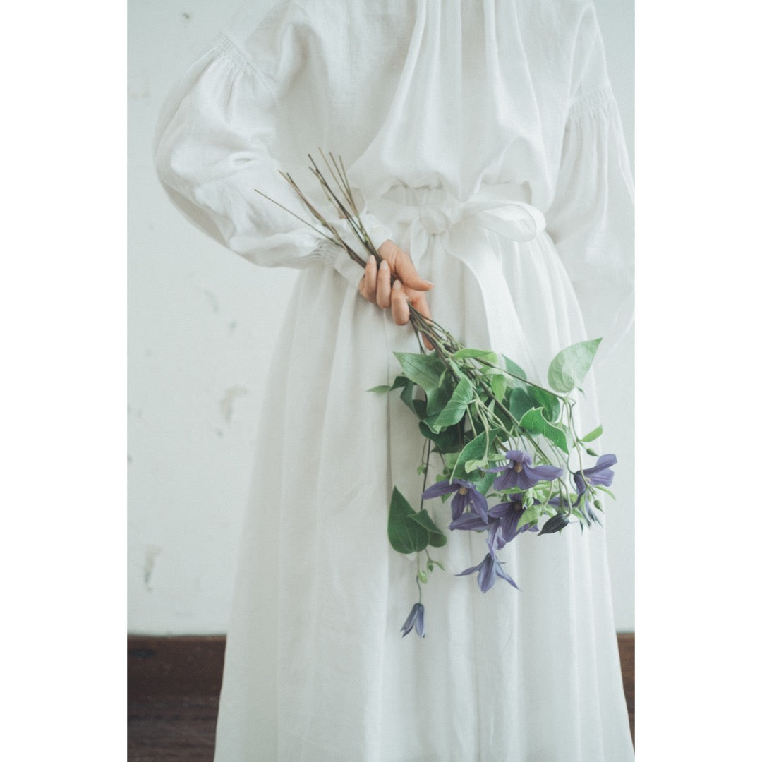 旅するドレス【結婚式 カラードレス レンタル】