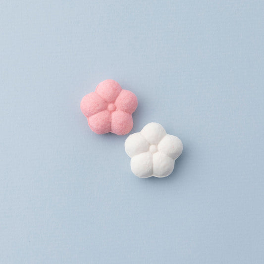 プチギフト(梅) 【結婚式 引き菓子 プチギフト お菓子】