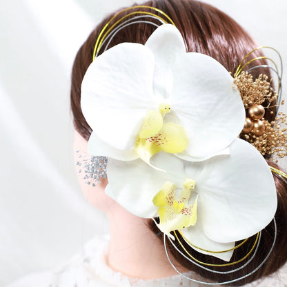 髪飾り 胡蝶蘭D【ヘアアクセサリー 花 ドライフラワー プリザーブド 水引】 【結婚式 ヘアアクセサリー】