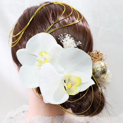 髪飾り 胡蝶蘭C【ヘアアクセサリー　花　ドライフラワー　プリザーブド　水引】 【結婚式　ヘアアクセサリー】