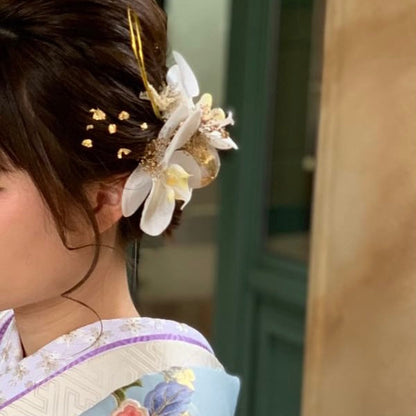 髪飾り 胡蝶蘭B【ヘアアクセサリー 花 ドライフラワー プリザーブド 水引】 【結婚式 ヘアアクセサリー】