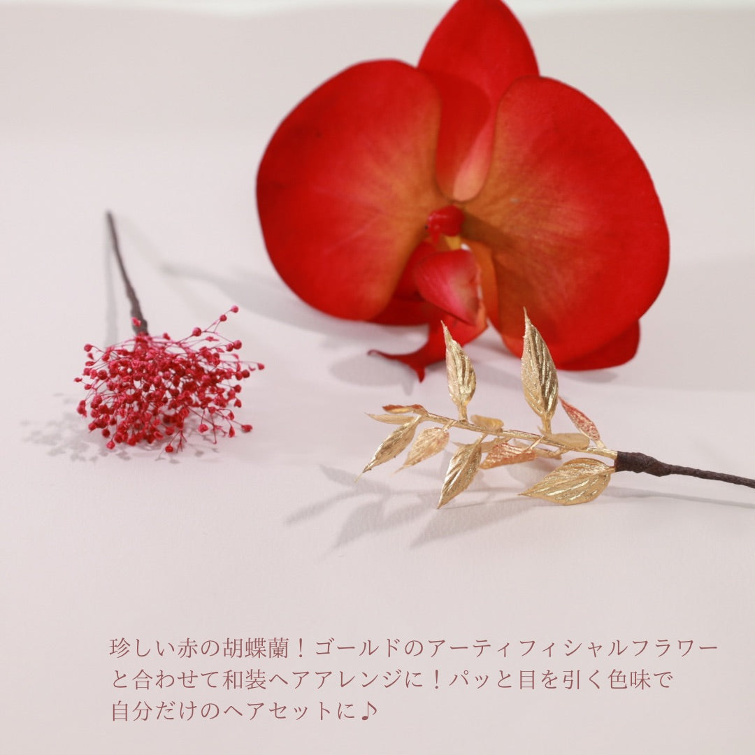 髪飾り 胡蝶蘭RD【ヘアアクセサリー 花 ドライフラワー プリザーブド 水引】 【結婚式 ヘアアクセサリー 胡蝶蘭】