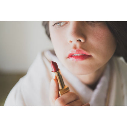 飛翔古典波文様 【結婚式 和装 白無垢 レンタル】