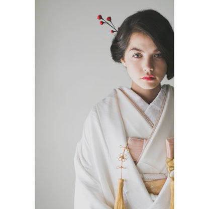 飛翔古典波文様 【結婚式 和装 白無垢 レンタル】