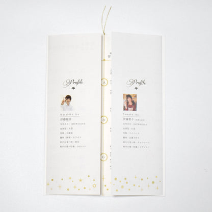 【結婚式 席次表 大人数専用】スターダスト(印刷込み)【結婚式 ペーパー 席次表】