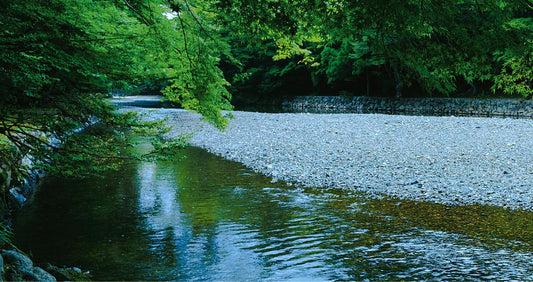 紀州南高梅セット１０A