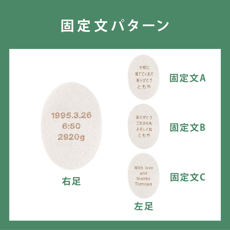 ハローネベアカフェブラウン　固定文Cパターン