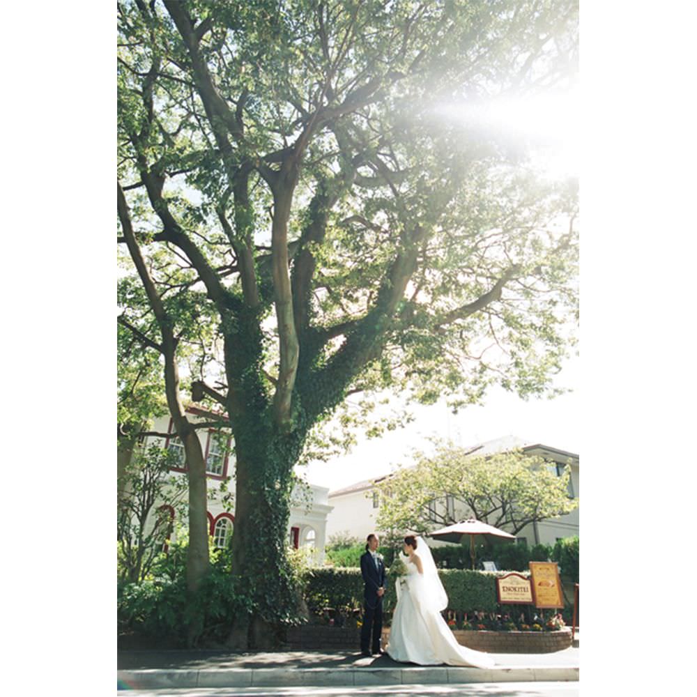 【挙式&披露宴撮影】東京都　当日撮影プラン(データ)　【結婚式　写真　フォト　撮影】