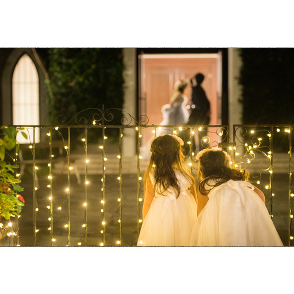 【挙式&披露宴撮影】東京都　当日撮影プラン(データ)　【結婚式　写真　フォト　撮影】