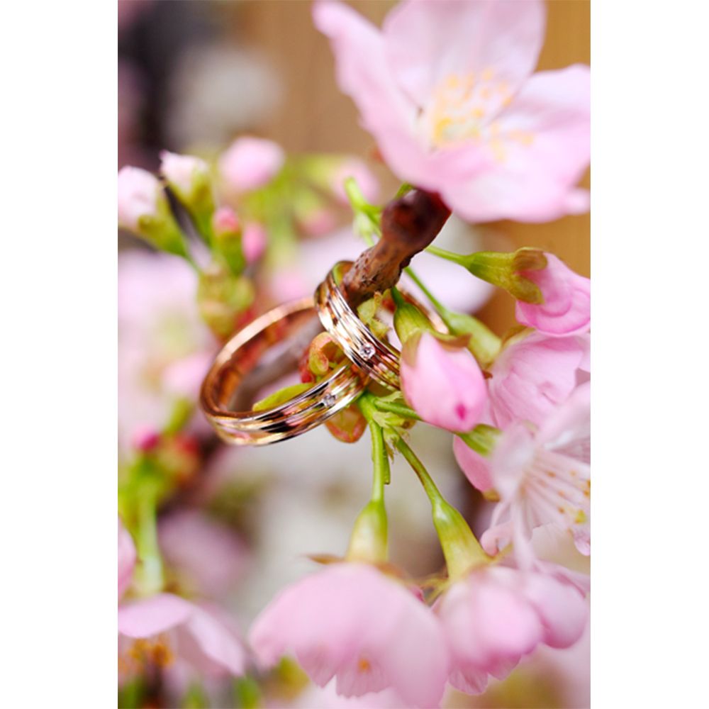 【挙式&披露宴撮影】東京都 当日撮影プラン(データ) 【結婚式 写真 フォト 撮影】