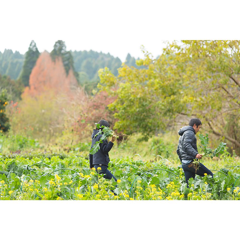 エンゲージメントフォトプラン 【結婚式 写真 アニバーサリーフォト】