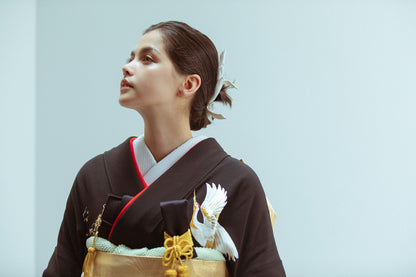 黒地ちりめん鶴【結婚式 和装 引き振袖 レンタル】