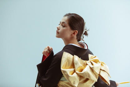 黒地ちりめん鶴【結婚式 和装 引き振袖 レンタル】