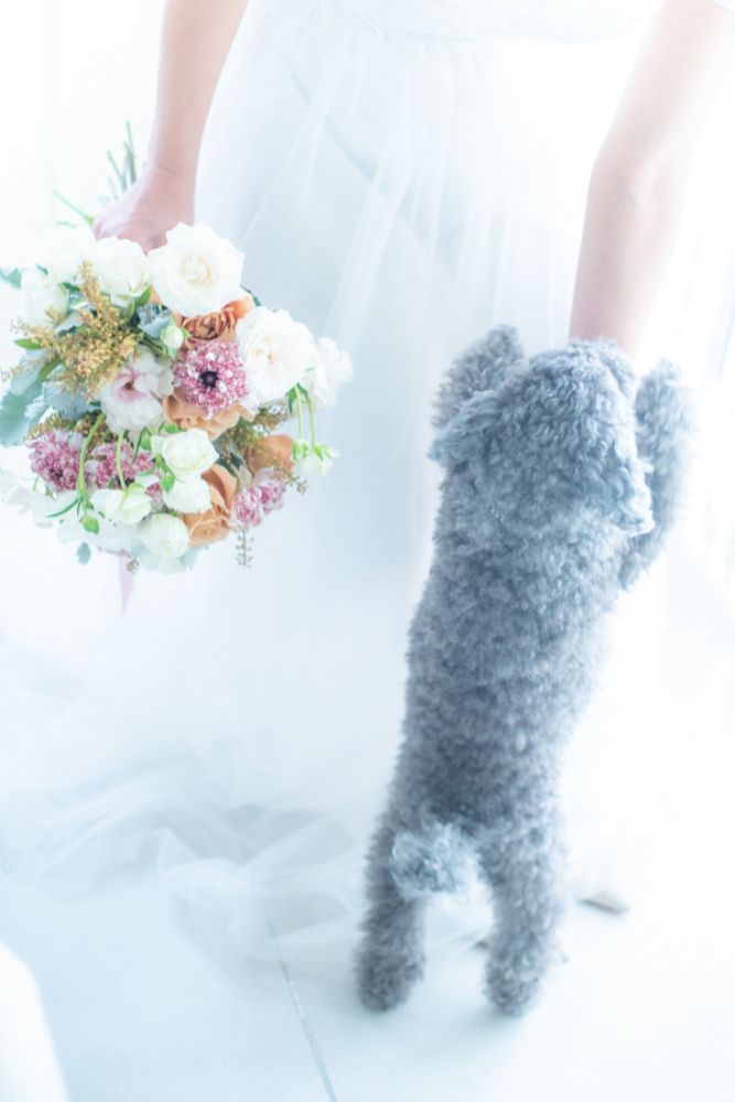 【生花】くすみカラーで大人クラッチブーケ 【結婚式 フラワー 生花 ブーケ ブートニア】