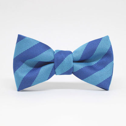 【mens】tie水色&ネイビー 蝶ネクタイ BOW 6830 【結婚式 蝶ネクタイ】