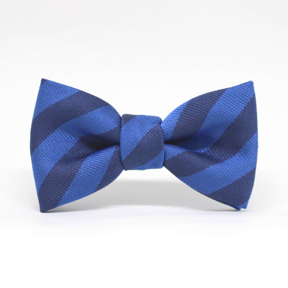 【kids】tie 青色&ネイビー 【結婚式 キッズ こども 蝶ネクタイ】