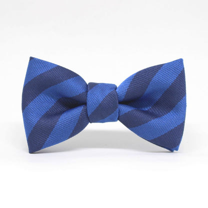 【kids】tie 青色&ネイビー 【結婚式 キッズ こども 蝶ネクタイ】