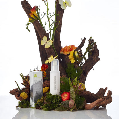 【CORDY限定】アウトバスギフトAWSC 【結婚式 ギフト 美容グッズ】