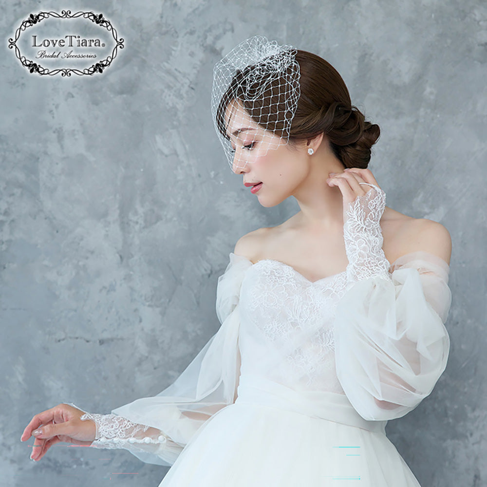 バードケージベール【結婚式 ベール】（VBC-01）