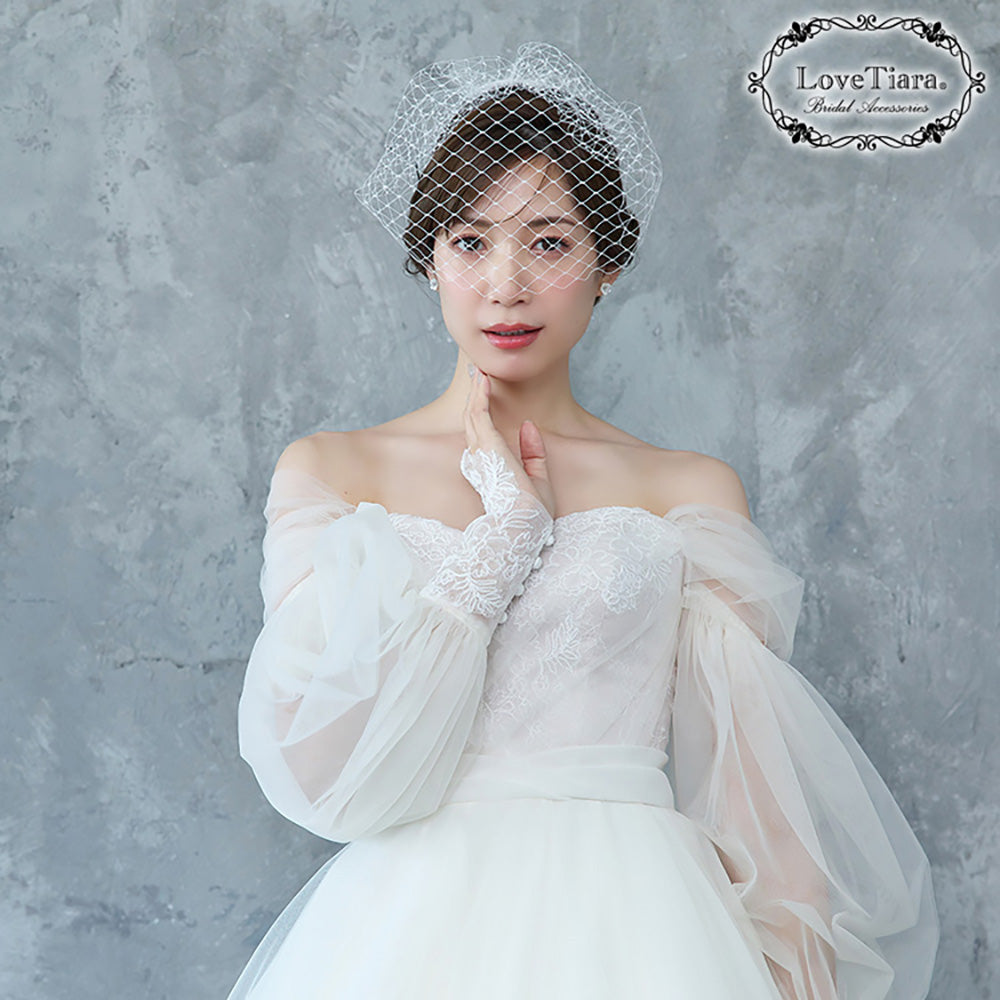 バードケージベール【結婚式 ベール】（VBC-01）