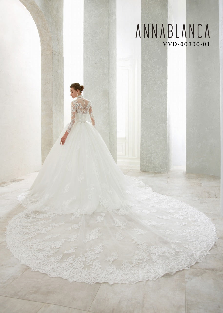VVD-00300【ウェディングドレス レンタル】
