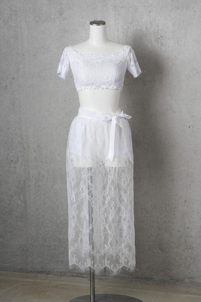 African daisy|アフリカンデイジー