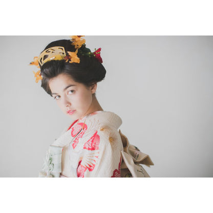 白地疋田古典鶴 【結婚式 和装 引き振袖 レンタル】