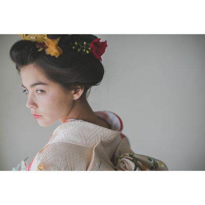 白地疋田古典鶴 【結婚式 和装 引き振袖 レンタル】