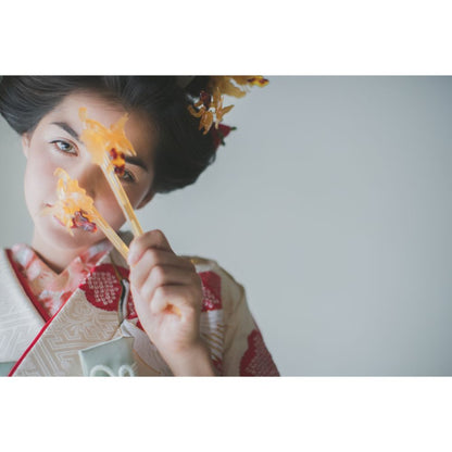 白地疋田古典鶴 【結婚式 和装 引き振袖 レンタル】