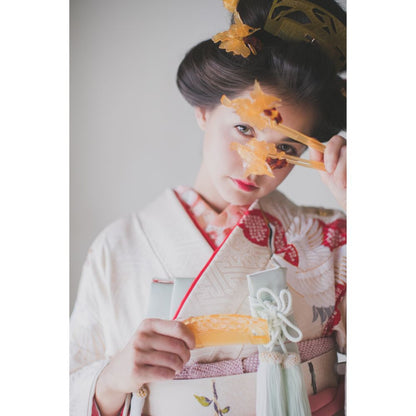 白地疋田古典鶴 【結婚式 和装 引き振袖 レンタル】