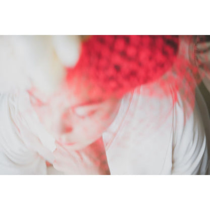 友禅千寿飛翔鶴 【結婚式 和装 白無垢 レンタル】