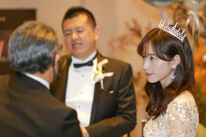 ウェディング ピアス イヤリング｜星(スター) モチーフ｜ビジュー ラインストーン｜2連 ロング｜シルバー (BC-E55)【結婚式　アクセサリー　ピアス　イヤリング】