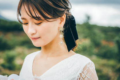 ピアス　イヤリング | ジルコニア　パール | 星モチーフ | ゴールド | (BC-E68)【結婚式　アクセサリー　ピアス　イヤリング】