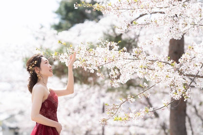 小枝アクセサリー パール リーフモチーフ ゴールド (BC-H37)｜ウェディングアクセサリー【結婚式　アクセサリー　ヘッドドレス　ヘアアクセサリー】