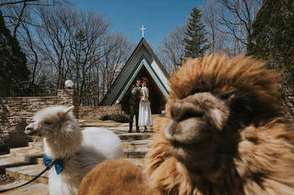 結婚式当日／挙式撮影【結婚式 写真 フォト 撮影】