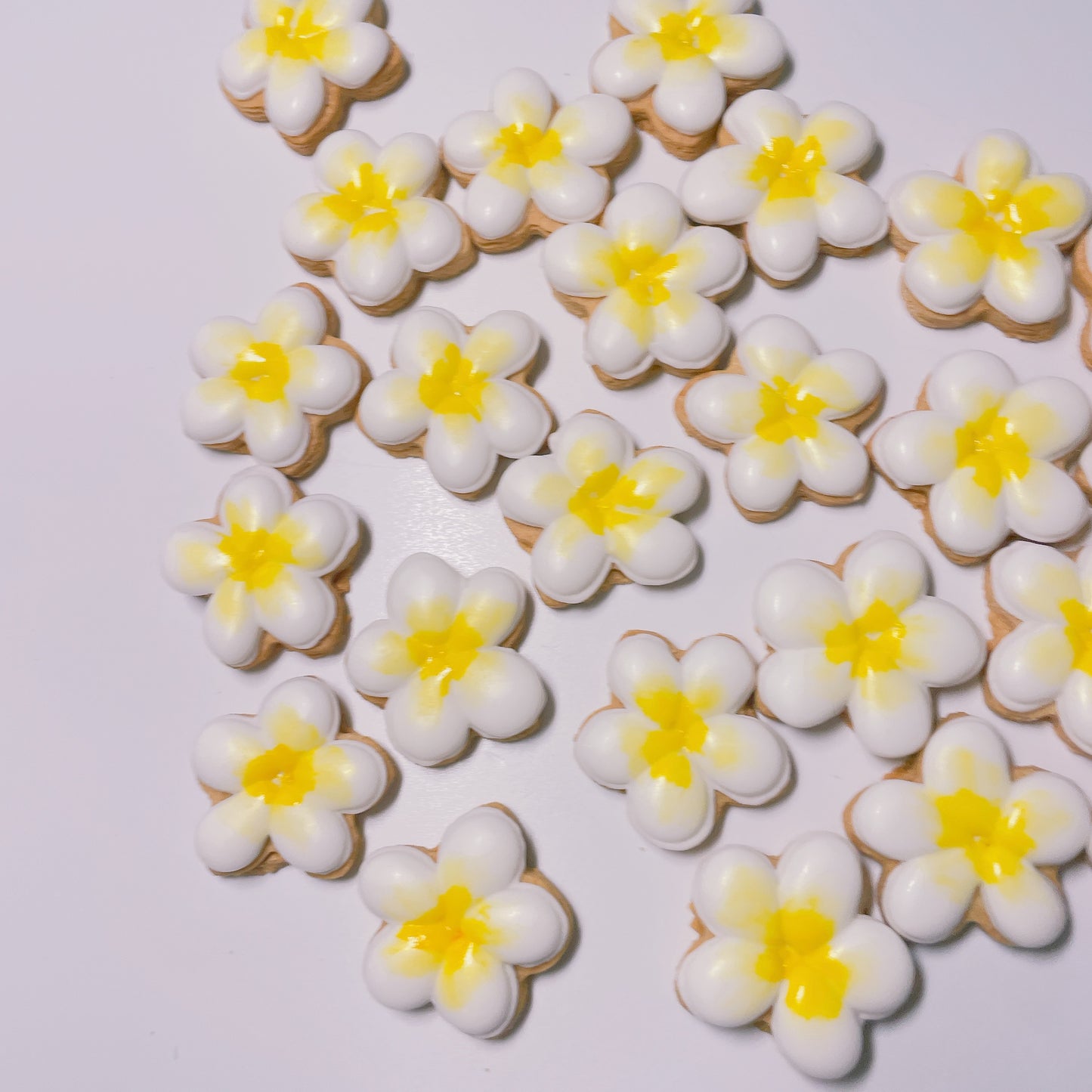 プルメリアのアイシングクッキー(プチギフト)