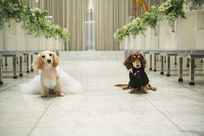 ドッグス ドレス/愛犬とお揃い【ワンちゃん用ドレス】 【ウェディングドレス オーダーメイド】