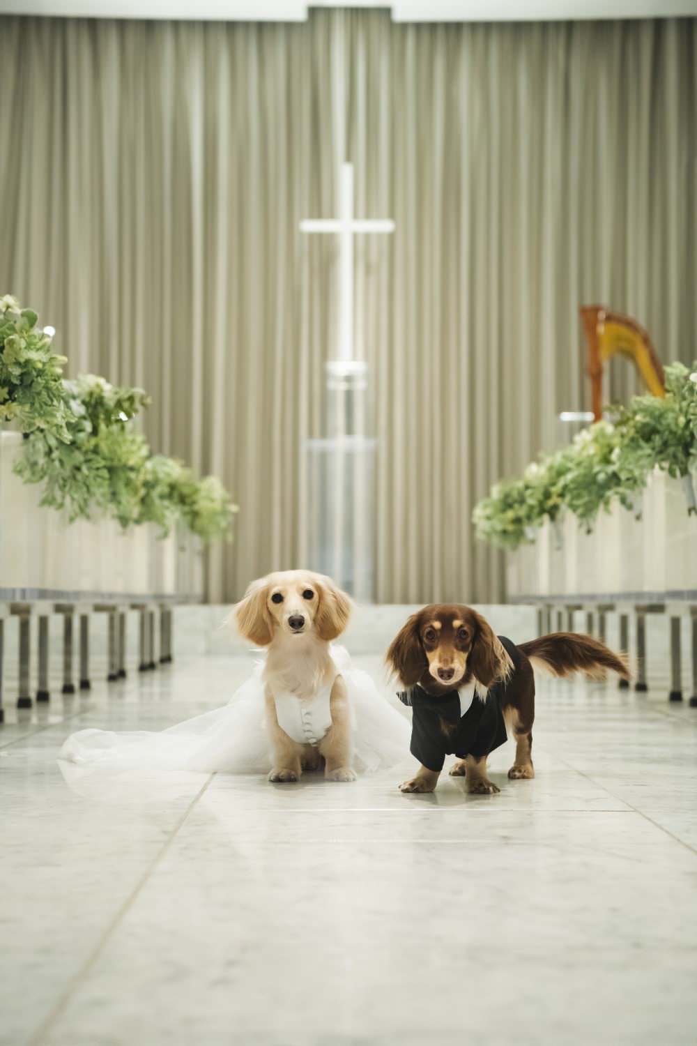 【愛犬用】タキシード 愛犬とお揃い 結婚式 【結婚式 タキシード オーダーメイド】