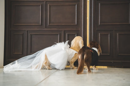 【愛犬用】タキシード 愛犬とお揃い 結婚式 【結婚式 タキシード オーダーメイド】