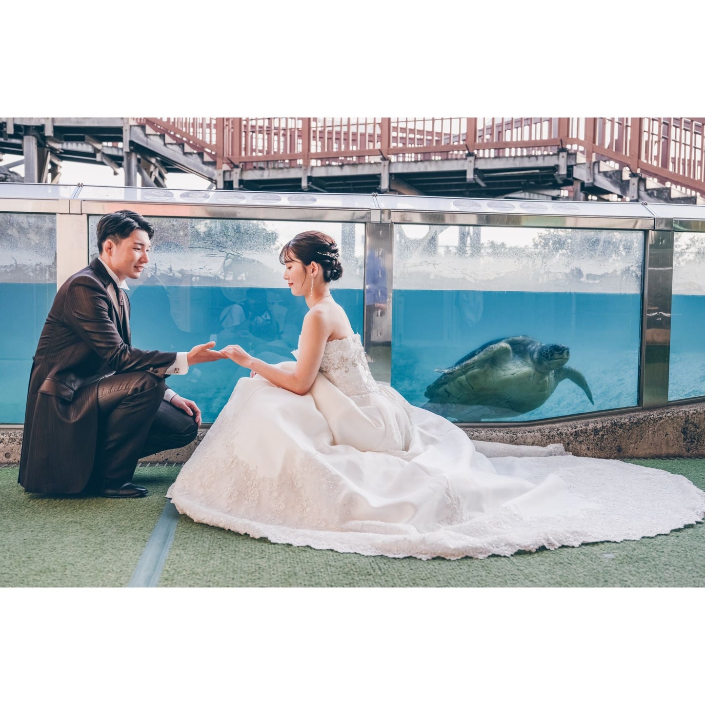 新江ノ島水族館フォトウェディング【結婚式 写真 フォトウェディング】