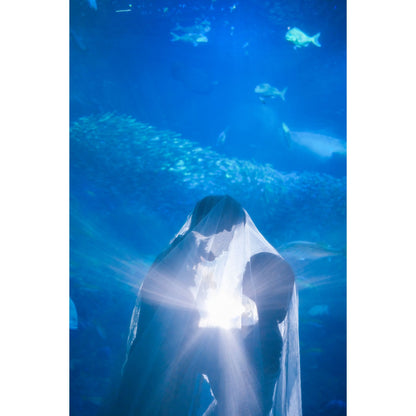 新江ノ島水族館フォトウェディング【結婚式　写真　フォトウェディング】