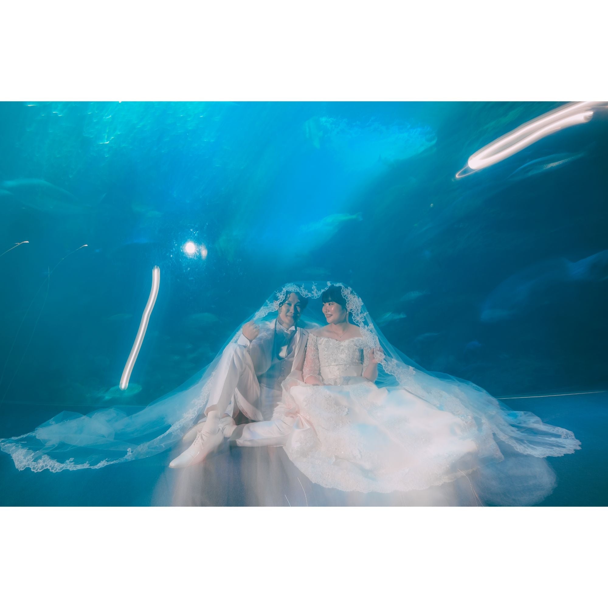 会場限定フォト ゴヌ 新江ノ島水族館フォトウェディング【結婚式 写真 フォトウェディング